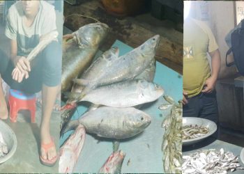 মাদারগঞ্জে নিষেধাজ্ঞা অমান্য করেই বালিজুড়ী বাজারে চলছে ইলিশ মাছ বিক্রি।