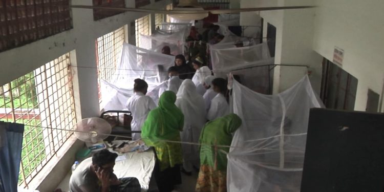 দেশ জুড়ে দাপিয়ে বেড়াচ্ছে ডেঙ্গু, আতঙ্কে খুলনা!