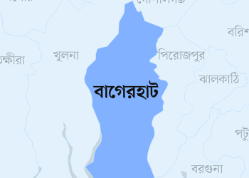 শরণখোলায় সুন্দরবন থেকে লোকালয়ে শূকর, আক্রমণে আহত ৩ ভাই।