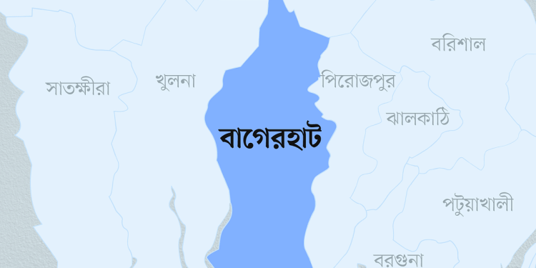 শরণখোলায় সুন্দরবন থেকে লোকালয়ে শূকর, আক্রমণে আহত ৩ ভাই।