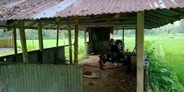 লামা উপজেলার সরই ইউনিয়নের কালাম বক্সু পাড়া মাদ্রাসা এটি।