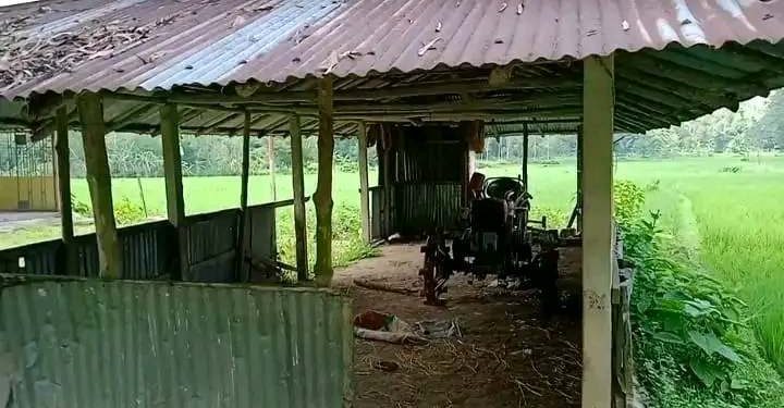 লামা উপজেলার সরই ইউনিয়নের কালাম বক্সু পাড়া মাদ্রাসা এটি।