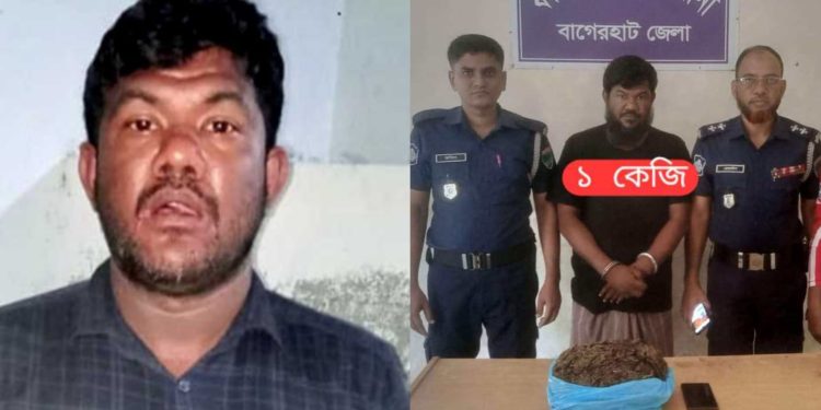 বাগেরহাটের ফকিরহাটে ১৬ মামলার আসামি গাঁজাসহ গ্রেফতার।