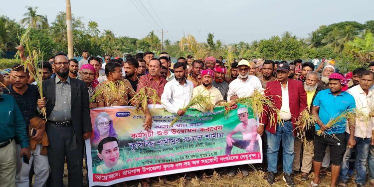 রামপালে কৃষকের ধান কেটে ঘরে তুলে দিলেন কৃষিবীদ শামীম।