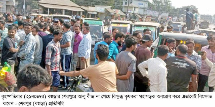 বগুড়ায় আলু বীজ না পেয়ে কৃষকদের মহাসড়ক অবরোধ ও বিক্ষোভ।