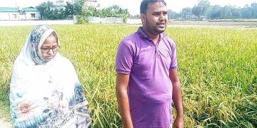 রৌমারীর যাদুর চরে পেষী শক্তির বলে জমি দখল।