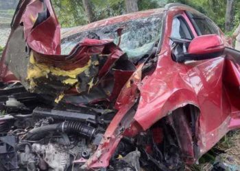 বাগেরহাটে গাছের সাথে প্রাইভেটকারের ধাক্কা চালকসহ নিহত ২, আহত ৩