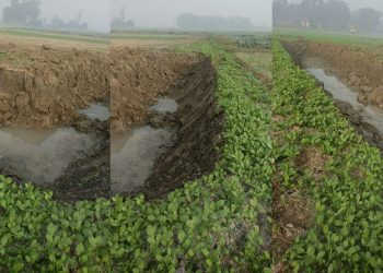 ধামরাইয়ে রাতের অন্ধকারে ফসলী জমির মাটি লুট।