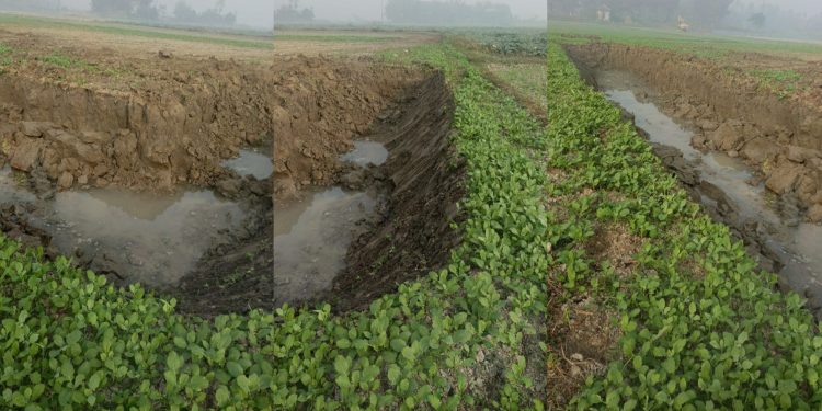 ধামরাইয়ে রাতের অন্ধকারে ফসলী জমির মাটি লুট।