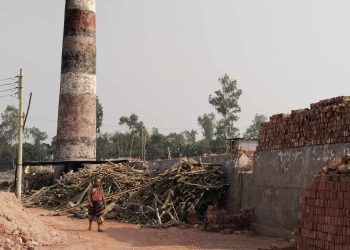 কালিহাতীতে ইটভাটায় পুড়ছে বনের কাঠ,নজরদারী নেই প্রশাসনের।