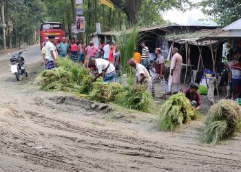 ঘাস বিক্রি করে জীবিকা নির্বাহ।