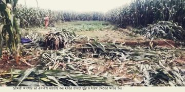 আলগারচর সীমান্তে বন্যহাতির তন্ডবে ব্যাপক ক্ষতি আতঙ্কে এলাকাবাসী।