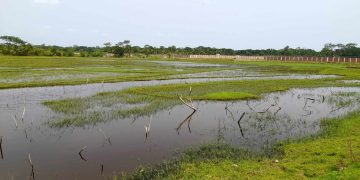বাগেরহাটের রামপালে মৎস্যঘের জবরদখলে রেখে মাছ চাষের অভিযোগ।