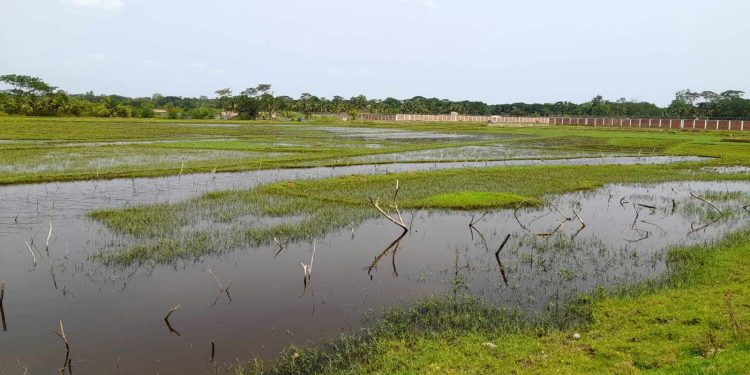 বাগেরহাটের রামপালে মৎস্যঘের জবরদখলে রেখে মাছ চাষের অভিযোগ।