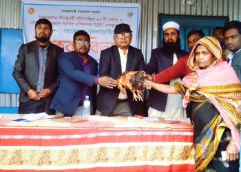 চরাঞ্চলের সুবিধা বঞ্চিত ২০০ জন খামারিদের মাঝে মুরগি বিতরণ।