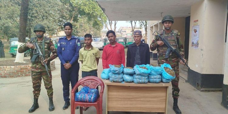 যৌথবাহিনীর অভিযানে ১৬ কেজি গাঁজাসহ ৩জন গ্রেপ্তার।