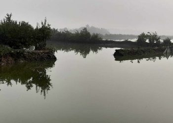 বাগেরহাটের রামপালের কালেখারবেড়ে মৎস্য ঘেরের খাল কাটায় ব্যাপক ক্ষতি।