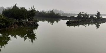 বাগেরহাটের রামপালের কালেখারবেড়ে মৎস্য ঘেরের খাল কাটায় ব্যাপক ক্ষতি।