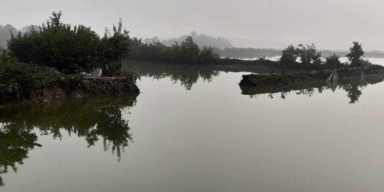 বাগেরহাটের রামপালের কালেখারবেড়ে মৎস্য ঘেরের খাল কাটায় ব্যাপক ক্ষতি।