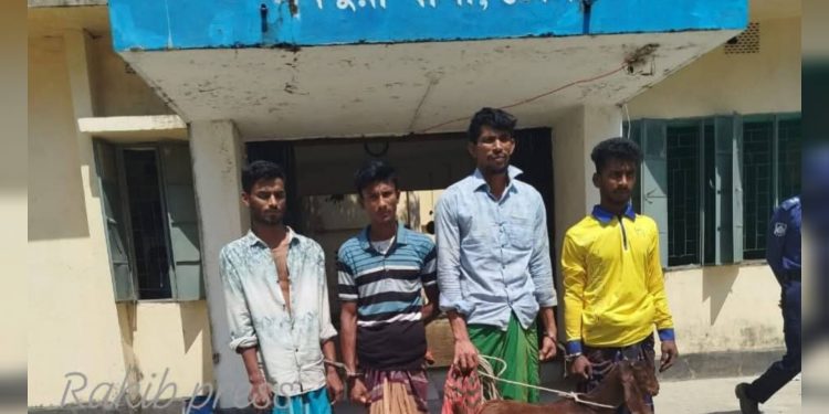 মনপুরায় ব্যবসায়ীর ছাগল চুরি করে দুই যুবদল নেতাসহ পাঁচজন আটক থানায় মামলা দায়ের।