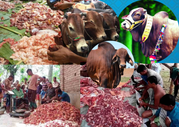 ঈদে মাংস খাওয়ার আশায় জমে উঠেছে ‘গরু খাওয়া সমিতি’।