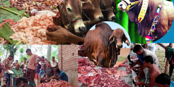 ঈদে মাংস খাওয়ার আশায় জমে উঠেছে ‘গরু খাওয়া সমিতি’।