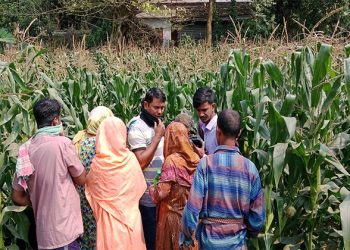 সিংগাইরে নিখোঁজের ৫ দিন পর মরদেহ উদ্ধার।