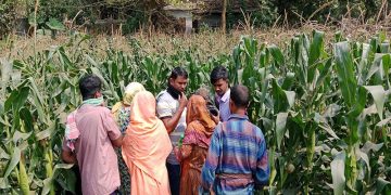 সিংগাইরে নিখোঁজের ৫ দিন পর মরদেহ উদ্ধার।