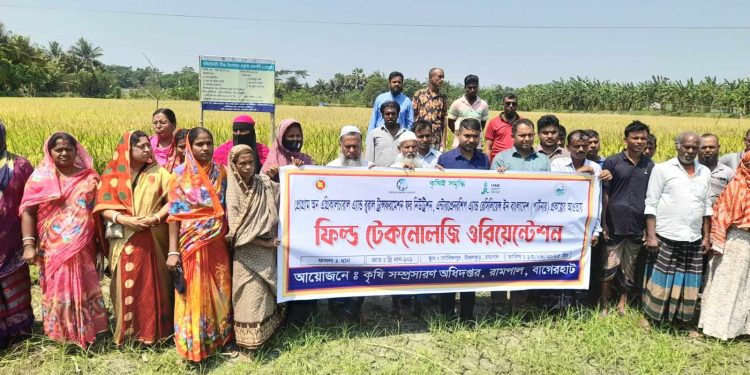 রামপালে কৃষকদের নিয়ে ফিল্ড টেকনোলজি ওরিয়েন্টেশন।