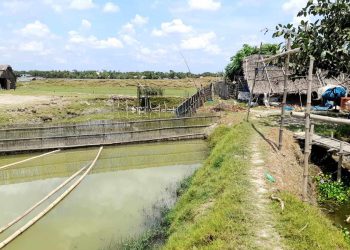 বাগেরহাটের রামপালে মৎস্যঘের লুট ১৫ লক্ষ টাকার ক্ষতি।