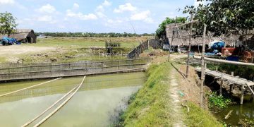 বাগেরহাটের রামপালে মৎস্যঘের লুট ১৫ লক্ষ টাকার ক্ষতি।