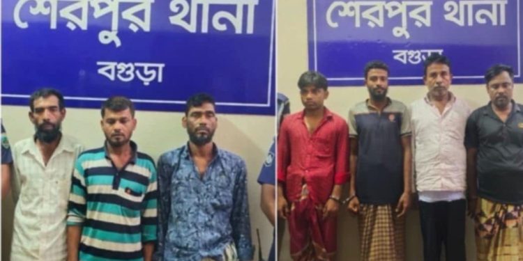 শেরপুরে মাছের খাদ্যসহ চুরি হওয়া ট্রাক উদ্ধার, আন্তঃজেলা চোরচক্রের ৭ সদস্য গ্রেপ্তার।