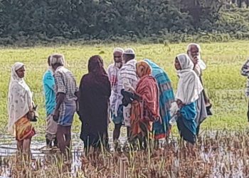 রৌমারীতে বড়াইবাড়ি সীমান্তে ভারতীয় নাগরিক পুশইন নিয়ে উত্তেজনা আতংকে সীমান্তবাসী। 