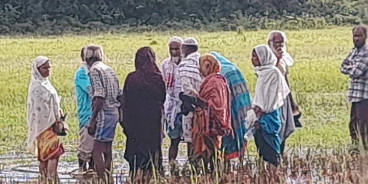 রৌমারীতে বড়াইবাড়ি সীমান্তে ভারতীয় নাগরিক পুশইন নিয়ে উত্তেজনা আতংকে সীমান্তবাসী।