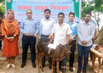 জামালপুরের মাদারগঞ্জে জেলেদের মাঝে বকনা বাছুর বিতরণ।