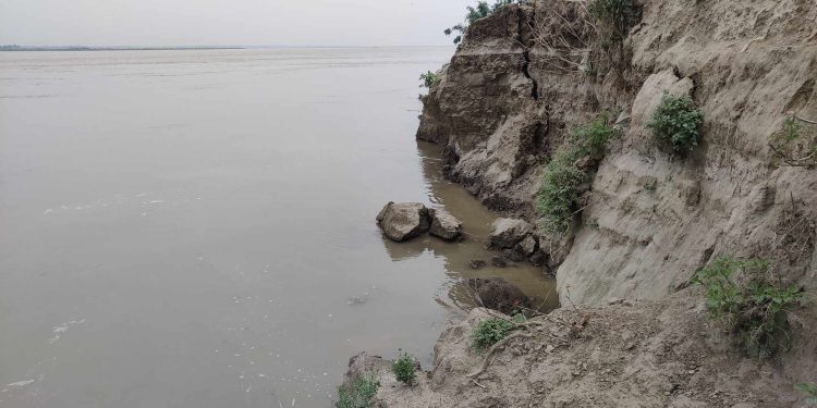 অসময়ে যমুনার তীব্র ভাঙনে বিলীন হচ্ছে ফসলি জমি।