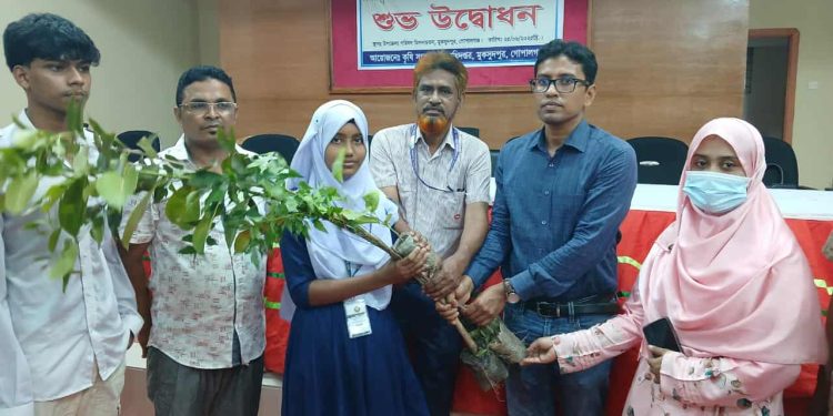 টাঙ্গাইলে সকল সরকারি প্রাথমিক বিদ্যালয়ের  একযোগে বৃক্ষরোপণ।