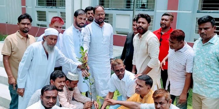 টাঙ্গাইলে পরিবেশ রক্ষায় বিভিন্ন স্কুল কলেজ ও শিক্ষা প্রতিষ্ঠানে সুলতান সালাউদ্দিন টুকুর বৃক্ষরোপণ।