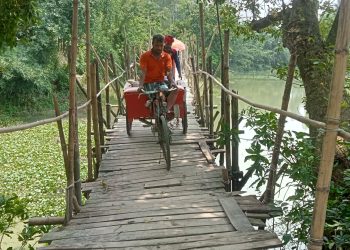 টাঙ্গাইলে চব্বিশ গ্রামের মানুষের যাতায়াতের একমাত্র ভরসা ঝুঁকিপুর্ণ বাঁশের সাঁকো।