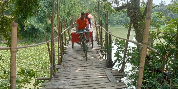 টাঙ্গাইলে চব্বিশ গ্রামের মানুষের যাতায়াতের একমাত্র ভরসা ঝুঁকিপুর্ণ বাঁশের সাঁকো।