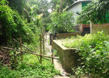 মানিকগঞ্জে সরকারি রাস্তা দখল করে দেয়াল ও বাঁশের ব্যারিকেড – জনদুর্ভোগে শত শত মানুষ।