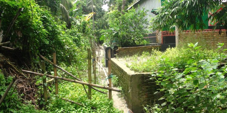 মানিকগঞ্জে সরকারি রাস্তা দখল করে দেয়াল ও বাঁশের ব্যারিকেড – জনদুর্ভোগে শত শত মানুষ।