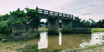 রৌমারীতে দশ বছর পূর্বে ব্রীজ নির্মান হয়েও জনগণের কোন কাজে আসেনি। 