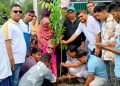 পরিবেশের ভারসাম্য রক্ষায় টাঙ্গাইলে বিভিন্ন স্কুল কলেজ ও শিক্ষা প্রতিষ্ঠানে বিনামূল্যে গাছের চারা বিতরণ।