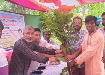জামালপুরের মাদারগঞ্জে চরপাকেরদহ ইউনিয়ন বিএনপি ও অঙ্গ সংগঠনের উদ্যোগে বৃক্ষ রোপন কর্মসূচী।