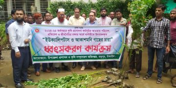 মধুপুরে ৪০ হাজার ইউক্যালিপটাস ও আকাশমনি গাছ ধ্বংস।