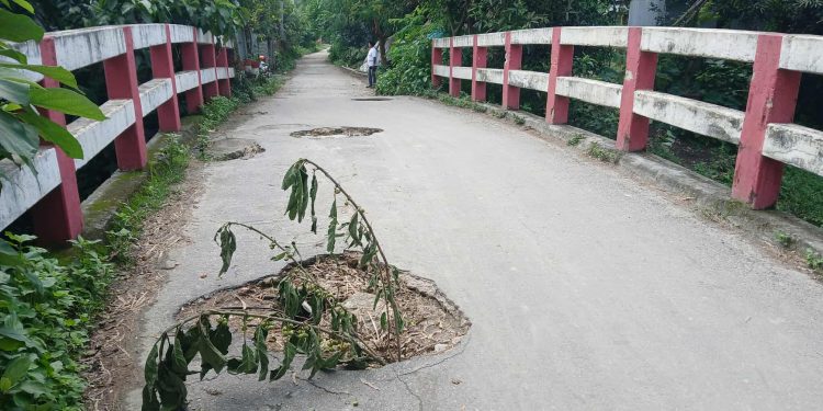 দেলদুয়ারের আরমোষ্টা খালের উপর ঝুঁকিপূর্ণ ব্রিজ যেন মরন ফাঁদ।