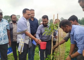 মধুপুর উপজেলা প্রশাসনের উদ্যোগে বৃক্ষ রোপণ অভিযান।