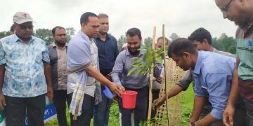 মধুপুর উপজেলা প্রশাসনের উদ্যোগে বৃক্ষ রোপণ অভিযান।