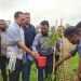 মধুপুর উপজেলা প্রশাসনের উদ্যোগে বৃক্ষ রোপণ অভিযান।